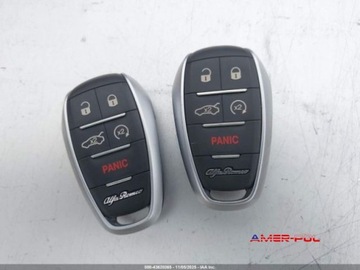 Alfa Romeo Stelvio 2020 Alfa Romeo Stelvio 2020 r., 2,0L RWD 2.0 Benzyna 280KM, zdjęcie 12