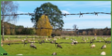 ПВХ колючая проволока с двумя проводными Fi 2,5 мм мяч 100 мл черный грустный