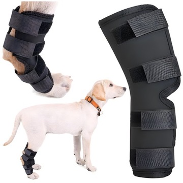 ORTEZA DLA PSA STABILIZATOR OSŁONA ŁAPY ROZ. L
