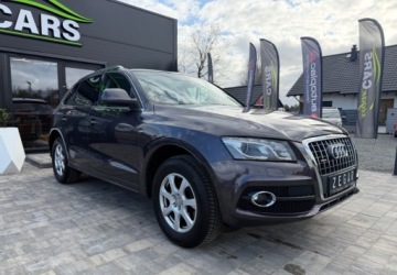 Audi Q5 I 2009 Audi Q5 2,0 TFSI 270 KM S-Line 2.0 Benzyna 270KM, zdjęcie 21