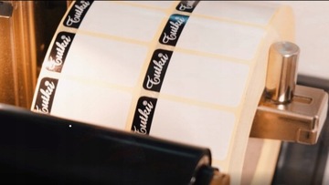 10 женских трусов PACK