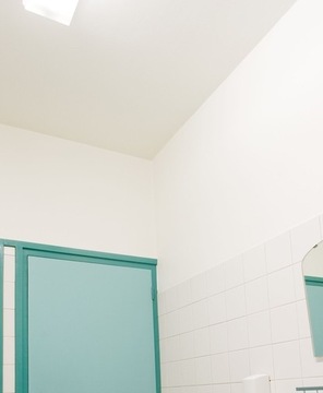 Краска против плесени и грибков ГАЛВИ 4л.