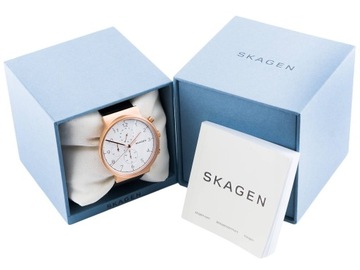 MĘSKI ZEGAREK SKAGEN SKW6170 HALD KLASYCZNY MESH