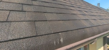 ANTY MECH - профессиональное средство для удаления водорослей, мхов и лишайников 1 л