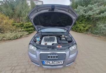 Audi A3 8P Hatchback 3d 2.0 TDI PD 140KM 2004 Audi A3 Sportback Audi A3 Sportback 2.0 TDI Ambition 2.0 Diesel 140KM, zdjęcie 6
