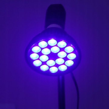 LAMPA OPALAJĄCA 460NM PEŁNE NIEBIESKIE ŚWIATŁO