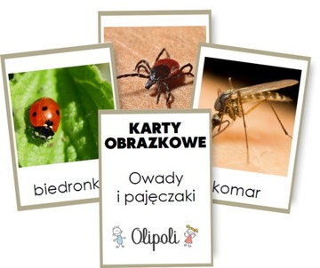 KARTY OBRAZKOWE owady pajęczaki 7x10cm FISZKI Montessori REALNE ZDJĘCIA