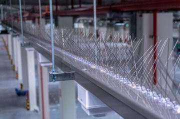 САМЫЕ ТОЛСТЫЕ СИЛЬНЫЕ ШИПЫ ДЛЯ ПТИЦ, ГОЛУБИ, ШИП ИЗ НЕРЖАВЕЮЩЕЙ СТАЛИ ПРОТИВ ПТИЦ