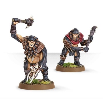 Полутролли, Властелин колец