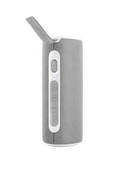 Głośnik bezprzewodowy Bluetooth JVC XS-E423G szary USB-C