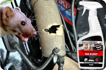 KUNA Ball + RANGER PRO Spray zestaw, straszak kun, gryzoni AUTO DOM GARAŻ
