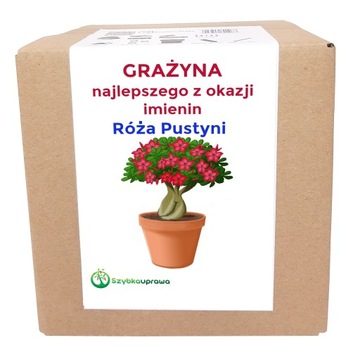 Ekologiczny prezent zestaw uprawa imieniny GRAŻYNA