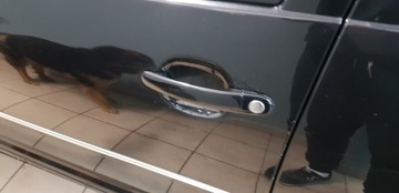 KLIKA DVEŘE PŘEDNÍ ZADNÍ VW BORA GOLF4 IV BARVA LC9Z