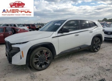 BMW XM 2024 BMW XM Label 2024 4.4l 4.4 Hybryda 738KM