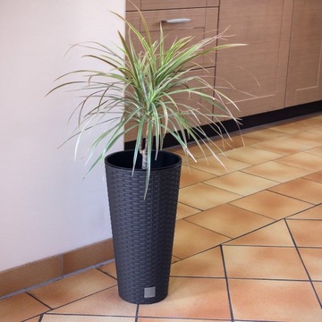 УЛИЧНЫЙ ЦВЕТОЧНЫЙ ГОРШОК ИЗ РОТАНГА, АНТРАЦИТОВЫЙ, СО ВСТАВКОЙ, ВЫСОКАЯ КРЫШКА