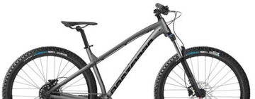 Дартмур Primal Intro Mountain Bike 29 Graphite / Black Mat 2025