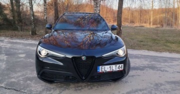 Alfa Romeo Stelvio SUV Facelifting 2.0 Turbo 280KM 2020 Alfa Romeo Stelvio Alfa Romeo Stelvio 2.0 Turbo Veloce Q4 2.0 Benzyna 280KM, zdjęcie 2