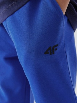 СПОРТИВНЫЕ БРЮКИ ДЕТСКИЕ ДЛЯ МАЛЬЧИКОВ 4F, размер 164