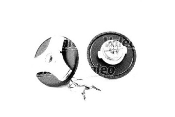 КРЫШКА ТОПЛИВНОГО БАКА VALEO 019637E