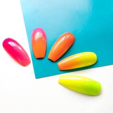 Molly Lac Artistic Гель-краска омбре орнаменты 12 AQUA