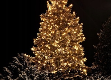 НАРУЖНЫЕ РОЖДЕСТВЕНСКИЕ ОГНИ 100 СВЕТОДИОДОВ ТОЛЩИНОЙ 5М ВСПЫШКА