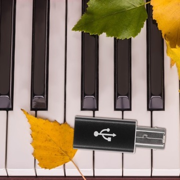 USB-АДАПТЕР ДЛЯ АУДИОКАБЕЛЯ СТЕРЕО ПИАНО-ПРИНТЕРА