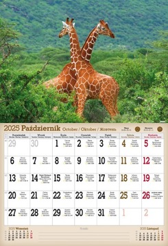 НАСТЕННЫЙ КАЛЕНДАРЬ 2025 А3 ДИКИЕ ЖИВОТНЫЕ ЗООПАРК КОАЛА МЕДВЕДЬ СЛОН МАВКА ДЕЛЬФИНЫ