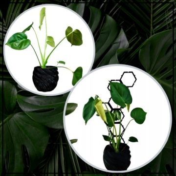 Опора для растений МОДУЛЬНАЯ опора для цветов 58 см комплект x2 для монстеры хой