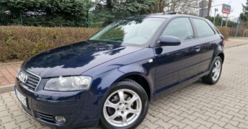 Audi A3 8P Hatchback 3d 2.0 FSI 150KM 2003