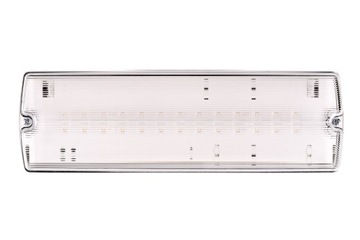 Аварийно-эвакуационный светильник ORION LED II 100 SA 3H MT IP65 91895 Intelight