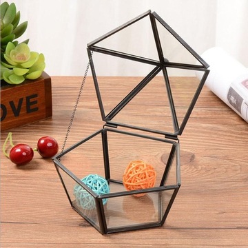 Стеклянный террариум с необычной геометрической формой, черный пятиугольник S