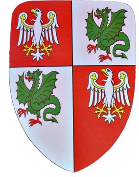 TARCZA RYCERSKA Dla Dziecka strój rycerza MIECZ