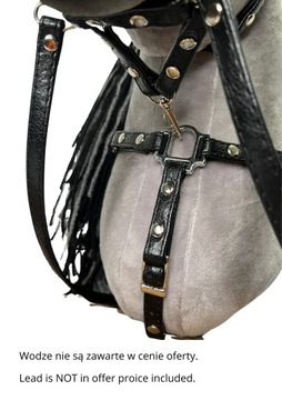 Кираса для лошади-любителя - разные цвета