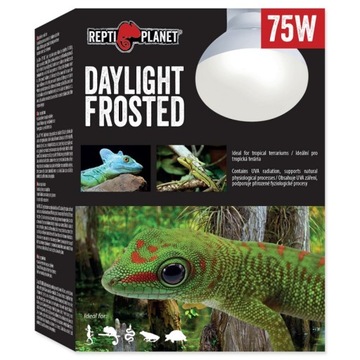 ŻARÓWKA GRZEWCZA DAY LIGHT FROSTED 75 W REPTI PLAN