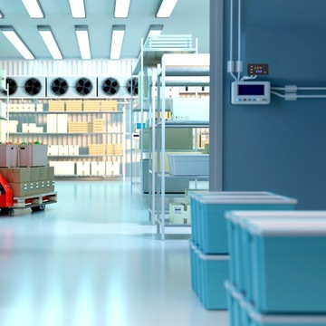 REGULATOR TEMPERATURY STEROWNIK TERMOSTAT 220V ELEKTRONICZNY MOCNY