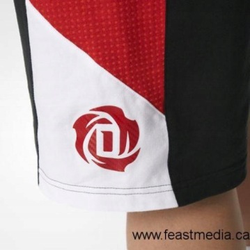Шорты Adidas NBA Derrick Rose AX7843