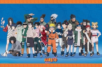 Plakat filmowy 91,5 x 61 cm