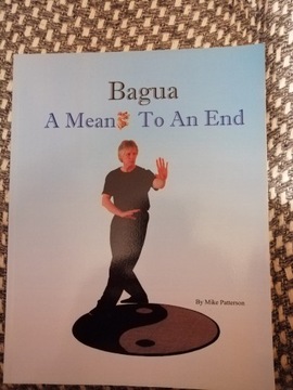 Bagua - A Means To An End