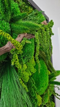 Żywy obraz z mchu dżungla 3D panel z mchu 90 x 60cm rama drewno czarny mat