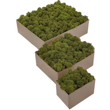 Мосс Кработек ПРЕМИУМ Olive Rotten Green 600г