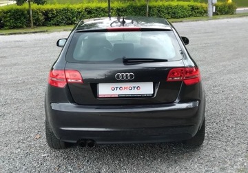 Audi A3 8P Hatchback 3d 1.8 TFSI 160KM 2011 Audi A3 1,8 T Benzyna Klima Alufelgi Po oplatach z Niemiec 1.8, zdjęcie 14