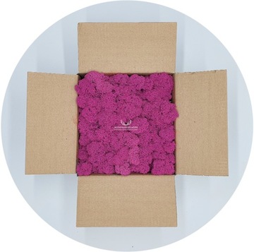 Mech Chrobotek Fiński Różowy Fuchsia 250g