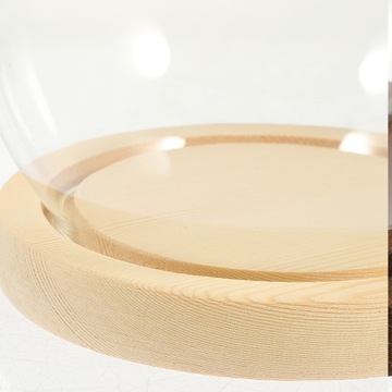 Обложки с стабилизированными цветами в форме глобуса