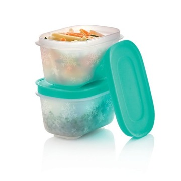 TUPPERWARE pojemnik do mrożenia 170ml x2