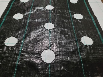 Agrotkanina z OTWORAMI 3 rzędy 110 cm X NA METRY