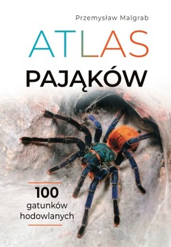 Atlas Pająków Ptaszniki 100 Gatunków Hodowlanych Malgrab SBM