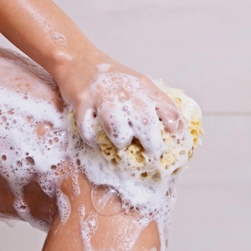 Gąbka do kąpieli - naturalna morska - rozmiar L. 14-16 cm