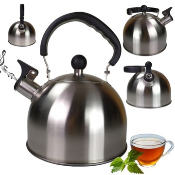 ЧАЙНИК, НЕРЖАВЕЮЩАЯ СТАЛЬ, 2Л, СВИСТОК, ГАЗОВАЯ ИНДУКЦИЯ