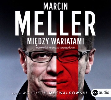 MIĘDZY WARIATAMI (AUDIOBOOK) - MELLER MARCIN