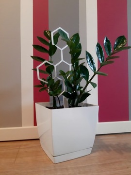 ОПОРА ЛЕСТНИЦА ПЕРГОЛА МЕДОЛАЗ ЦВЕТЫ